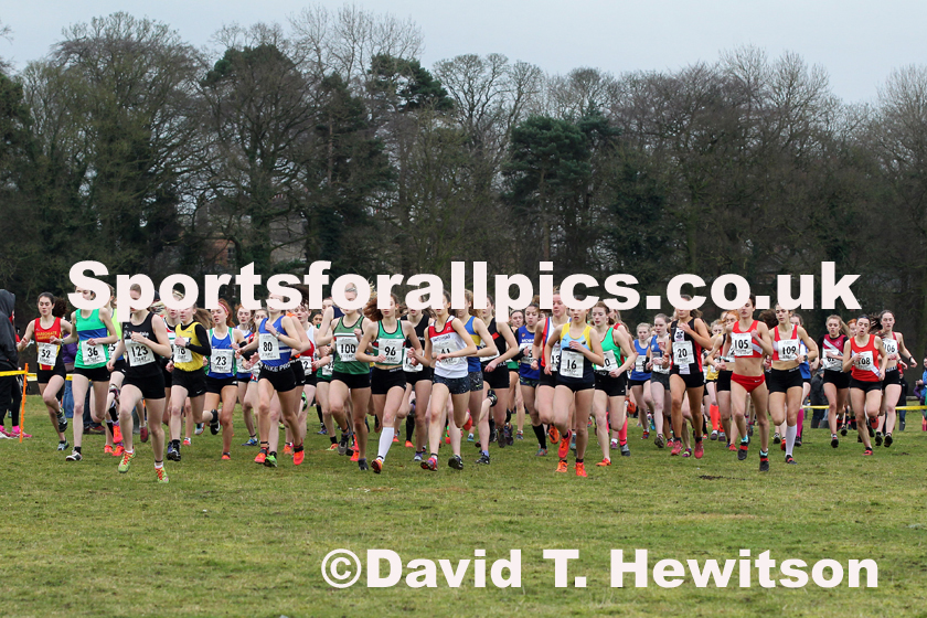 Womens under-17 Northern Cross Country Champs., Camp Hill Estate, Kirklington.  Photo: David T. Hewitson/Sports for All Pics